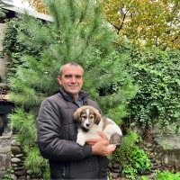 Pop Mihai