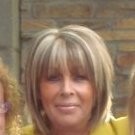 Terri Meshwork