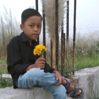 rafikul hasan