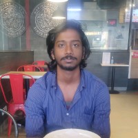 Rajaraman M