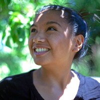 Armi De Francia, Rpp Mcip