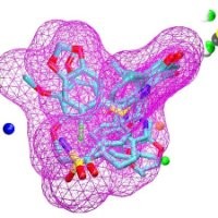 alcovebio5 alcovelifesciences