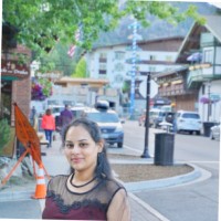 Satya Vani Bogireddy