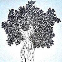 Yukai Dong