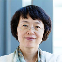 Quan Zheng