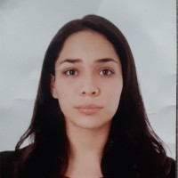 Karen Daniela Olivo Solorio