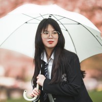 Huilin Pan
