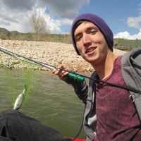 Stetson Lyons
