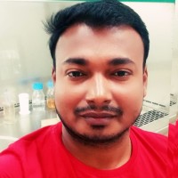 Rahul Bhende