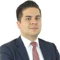 Francisco J Villegas