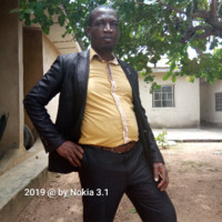 Omole Michael Oluwadare