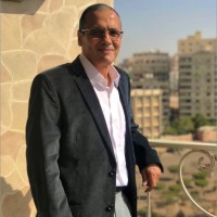 Wael mohey
