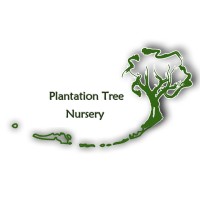 Plantation Tree Nursery