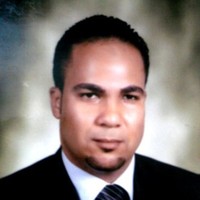 Wael Labib Mohamed