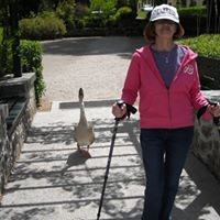 Maryann Mayer