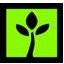 Trinity Group International