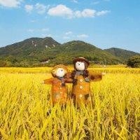 翟发刚