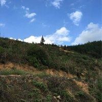 郑东志