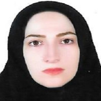 hiva rokhzadi_zardouei