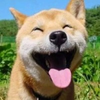 阳文平