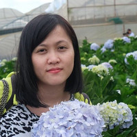 Hongvan Vo Thi