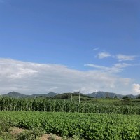 赵钇颖