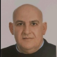 Fadi Abdel Samad