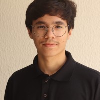 Lucas Pavanelli Ferreira