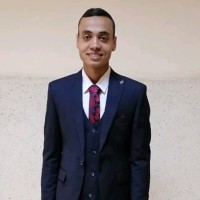 Abd-Elsalam Mansour