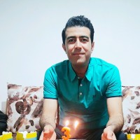 mojtaba ansari