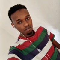 Gulled Ibrahim