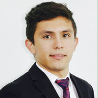 Marcelo O. Mir
