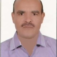 mohamed hindawi