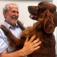 Claudio Cecchi