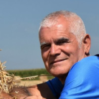 Francisco Medina Guerrero
