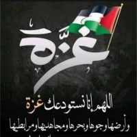 Morad A. Mukahal 🇵🇸
