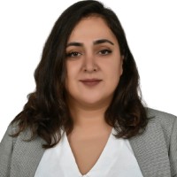 Dilan Çelik