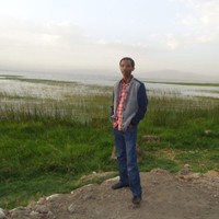 Abbi D. Seyoum