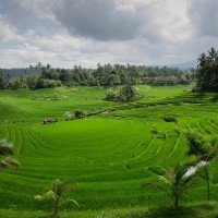 Tookang Keboon