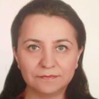 Nisa Gürler Yüce