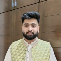 Ali Hannan Muhammad Nasim