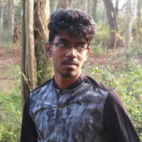 Balaji N