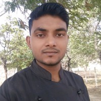 Arman Ansari