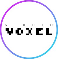 Studio Voxel