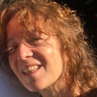 Vera Regina Ferraz Laurentiis