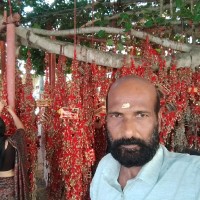Harilal K N
