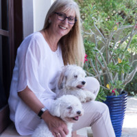 Susan Percival-Simmons