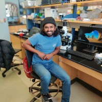 Manoj Kamalanathan