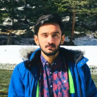 Ali Hamza