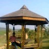 Biswaketan Panda